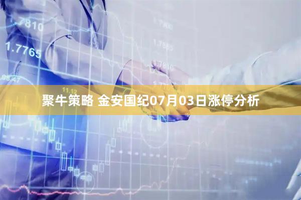 聚牛策略 金安国纪07月03日涨停分析